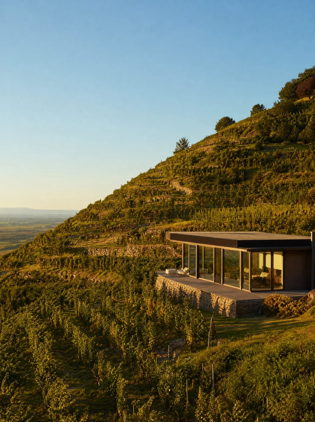 Modernes Haus mit großen Fenstern am Rand eines Weinbergs am Kaiserstuhl
